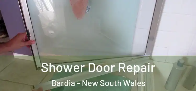 Shower Door Repair Bardia - New South Wales