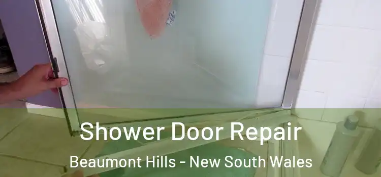 Shower Door Repair Beaumont Hills - New South Wales