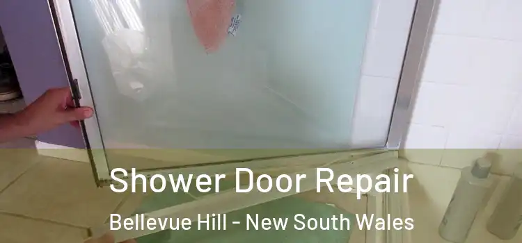 Shower Door Repair Bellevue Hill - New South Wales