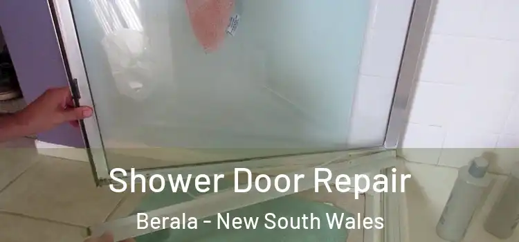 Shower Door Repair Berala - New South Wales