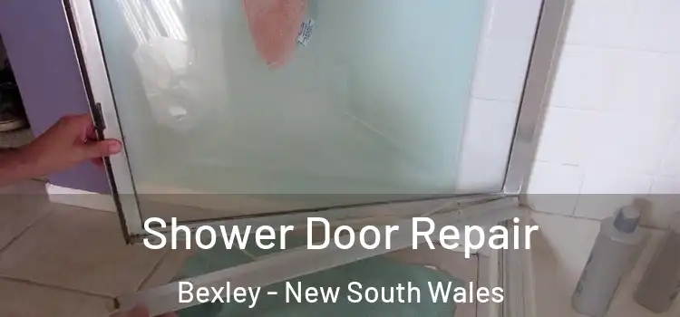 Shower Door Repair Bexley - New South Wales