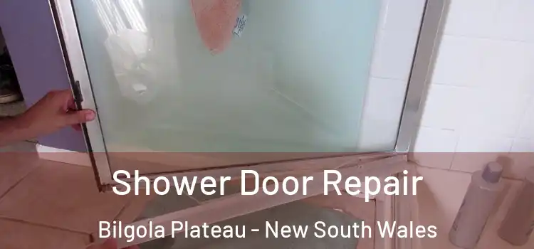 Shower Door Repair Bilgola Plateau - New South Wales