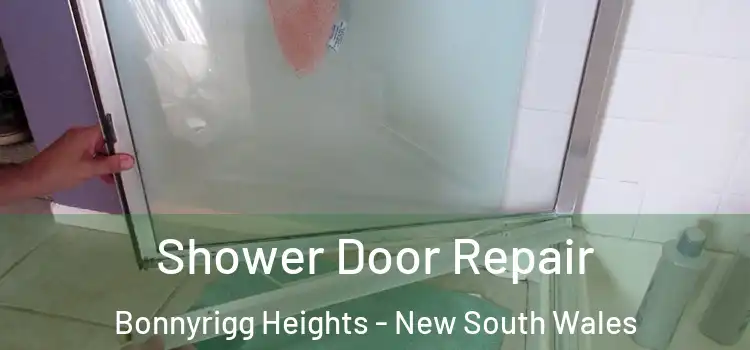 Shower Door Repair Bonnyrigg Heights - New South Wales
