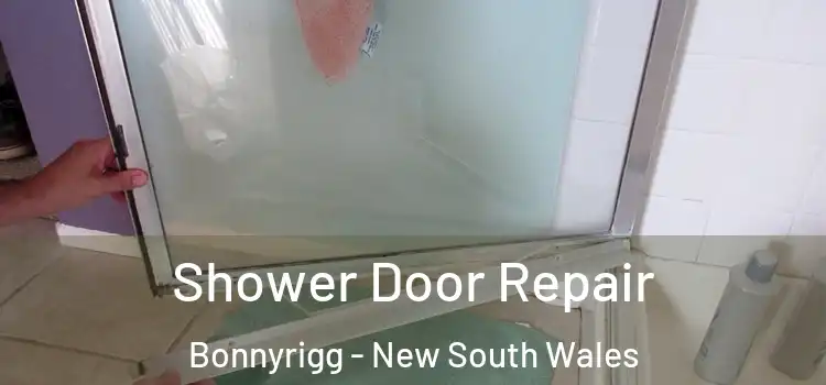 Shower Door Repair Bonnyrigg - New South Wales