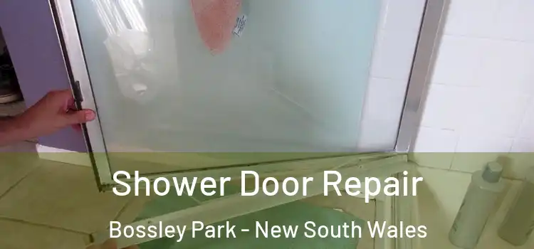 Shower Door Repair Bossley Park - New South Wales