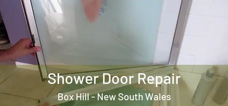 Shower Door Repair Box Hill - New South Wales