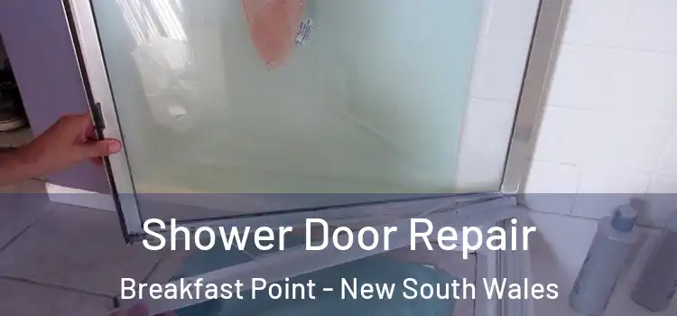 Shower Door Repair Breakfast Point - New South Wales