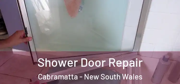 Shower Door Repair Cabramatta - New South Wales