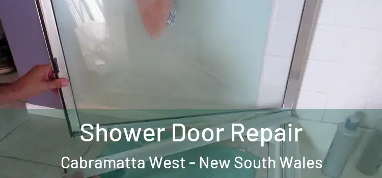 Shower Door Repair Cabramatta West - New South Wales