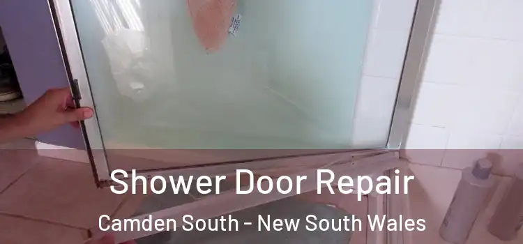 Shower Door Repair Camden South - New South Wales