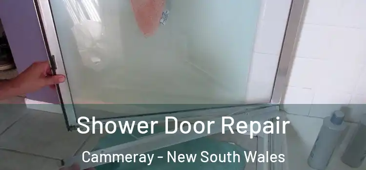 Shower Door Repair Cammeray - New South Wales
