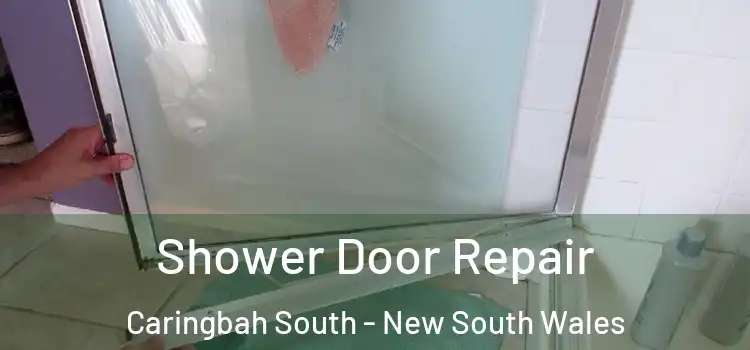 Shower Door Repair Caringbah South - New South Wales