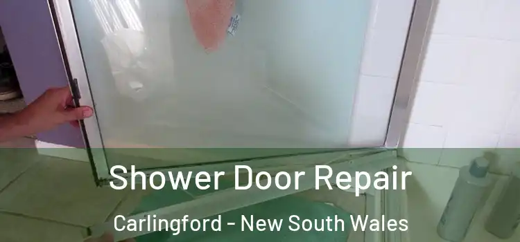 Shower Door Repair Carlingford - New South Wales