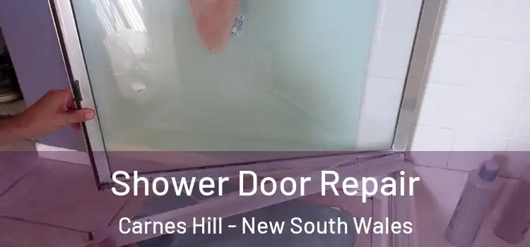 Shower Door Repair Carnes Hill - New South Wales
