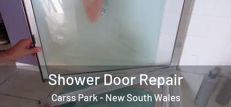 Shower Door Repair Carss Park - New South Wales