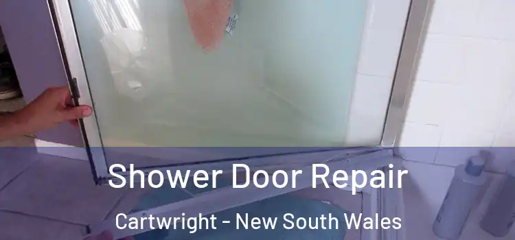 Shower Door Repair Cartwright - New South Wales