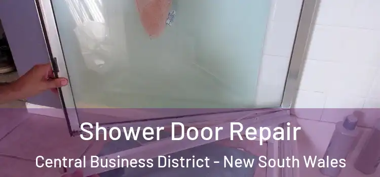 Shower Door Repair Central Business District - New South Wales