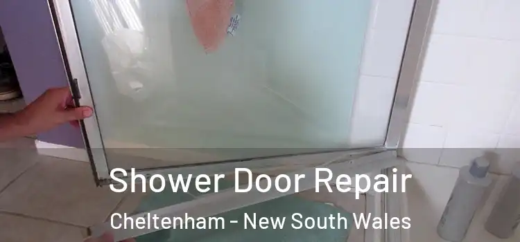 Shower Door Repair Cheltenham - New South Wales