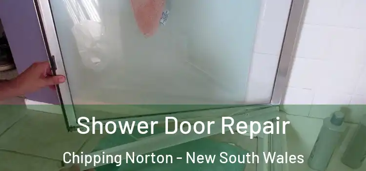 Shower Door Repair Chipping Norton - New South Wales