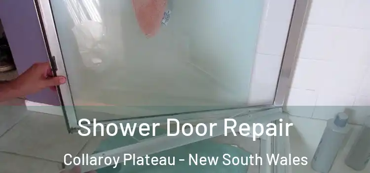 Shower Door Repair Collaroy Plateau - New South Wales