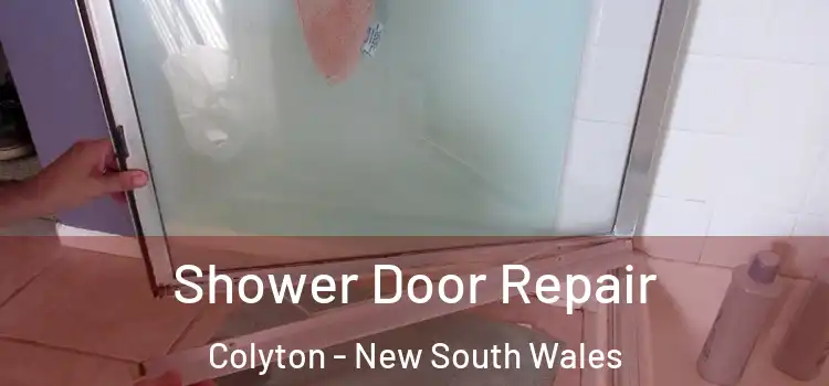 Shower Door Repair Colyton - New South Wales