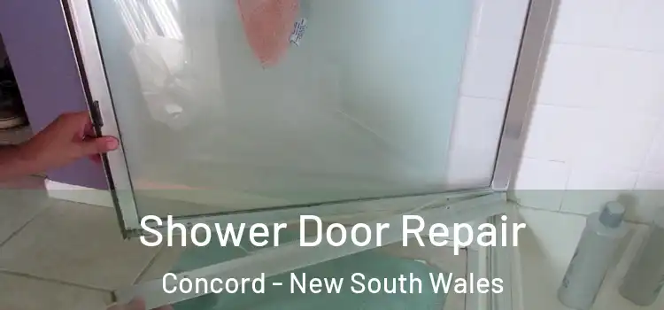 Shower Door Repair Concord - New South Wales