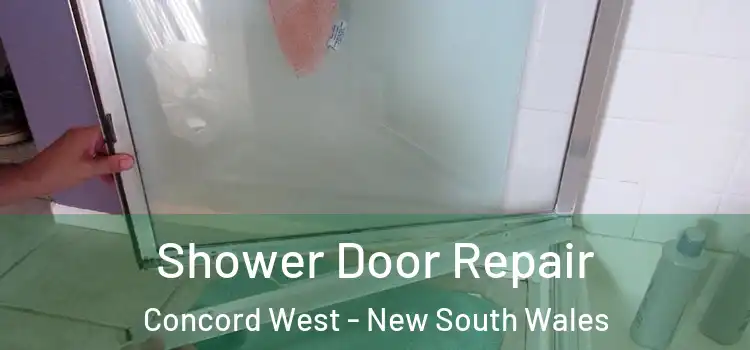 Shower Door Repair Concord West - New South Wales