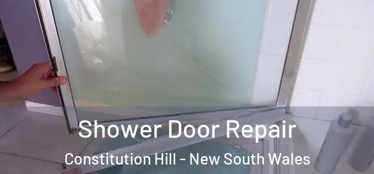 Shower Door Repair Constitution Hill - New South Wales