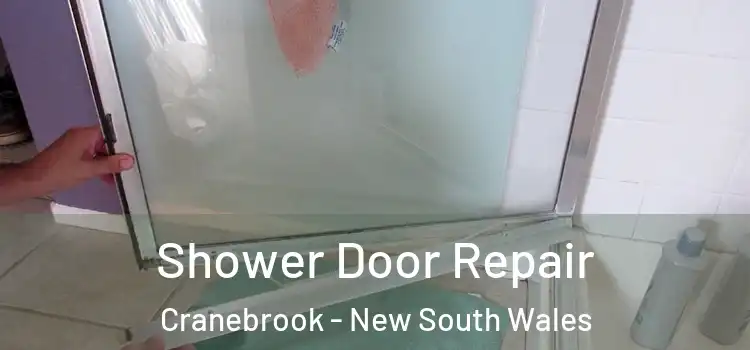 Shower Door Repair Cranebrook - New South Wales