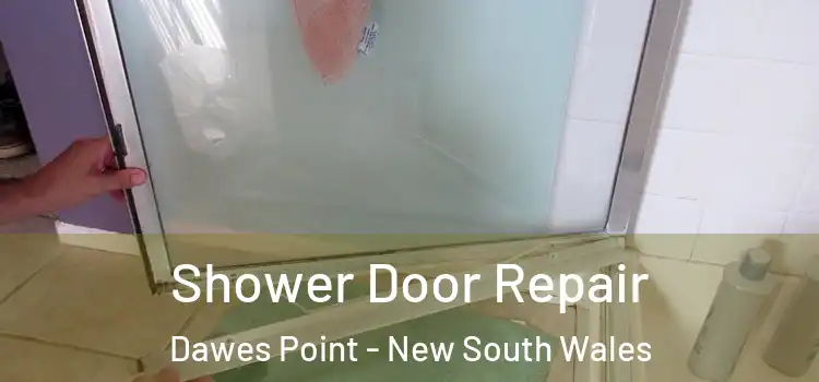 Shower Door Repair Dawes Point - New South Wales