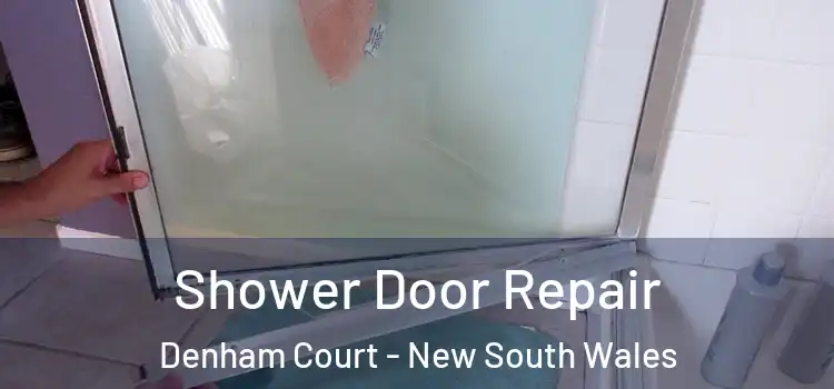 Shower Door Repair Denham Court - New South Wales