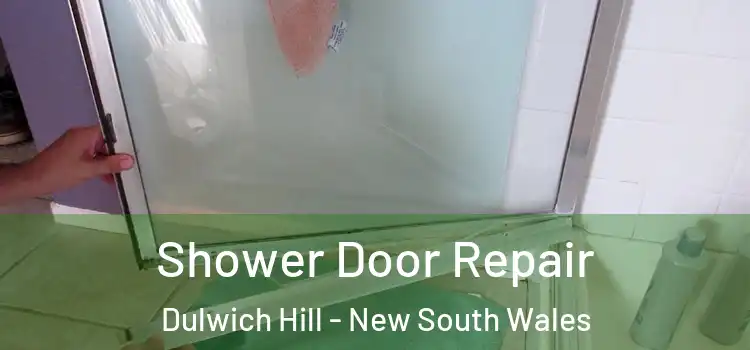 Shower Door Repair Dulwich Hill - New South Wales