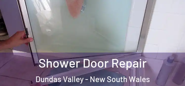 Shower Door Repair Dundas Valley - New South Wales
