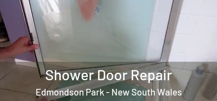 Shower Door Repair Edmondson Park - New South Wales