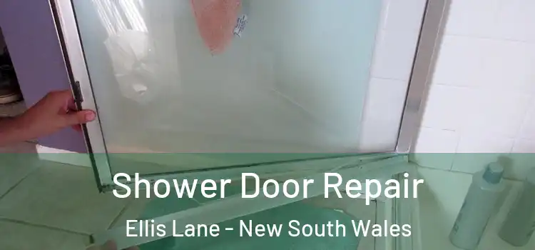 Shower Door Repair Ellis Lane - New South Wales