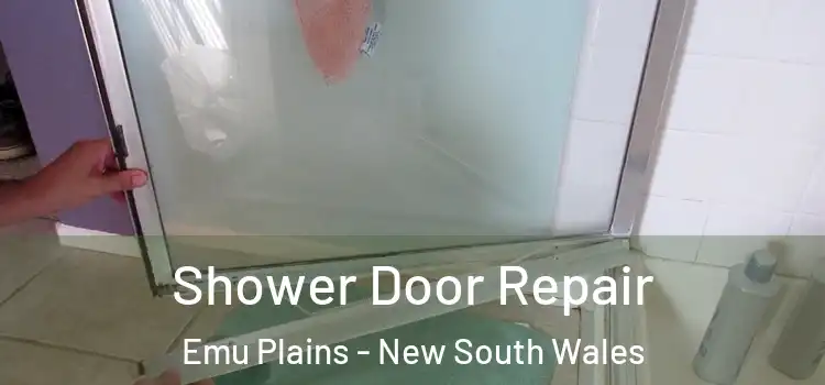 Shower Door Repair Emu Plains - New South Wales