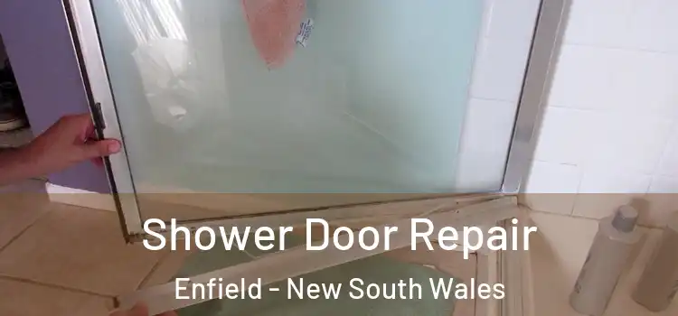 Shower Door Repair Enfield - New South Wales