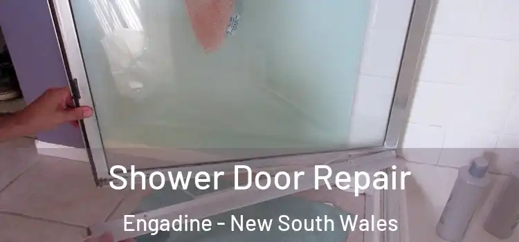 Shower Door Repair Engadine - New South Wales