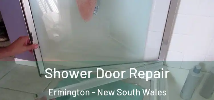 Shower Door Repair Ermington - New South Wales