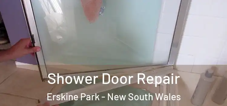 Shower Door Repair Erskine Park - New South Wales