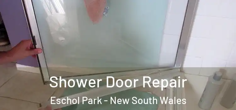 Shower Door Repair Eschol Park - New South Wales