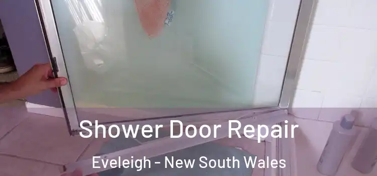 Shower Door Repair Eveleigh - New South Wales