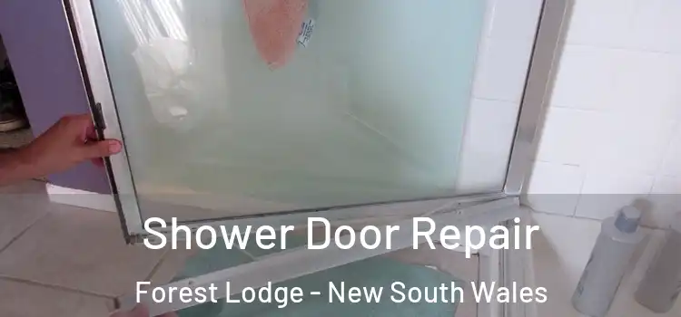 Shower Door Repair Forest Lodge - New South Wales