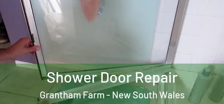 Shower Door Repair Grantham Farm - New South Wales