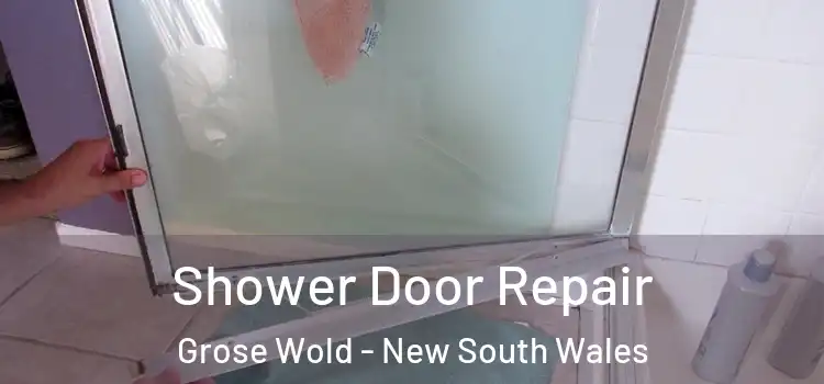Shower Door Repair Grose Wold - New South Wales