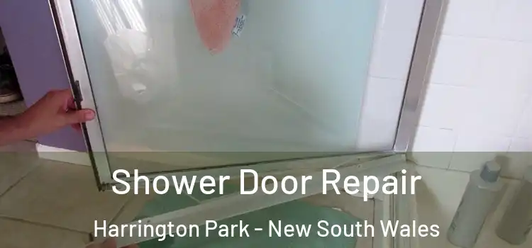 Shower Door Repair Harrington Park - New South Wales