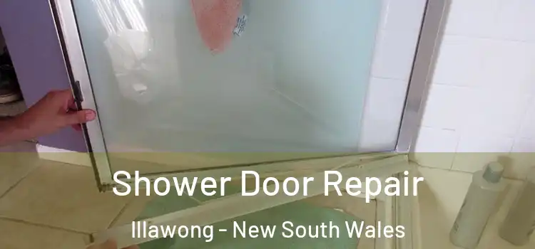 Shower Door Repair Illawong - New South Wales