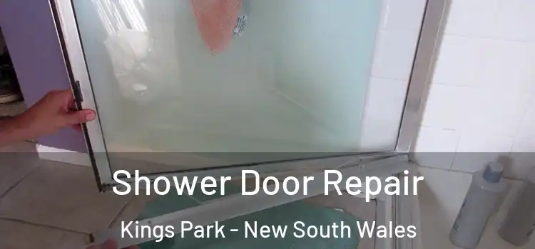Shower Door Repair Kings Park - New South Wales