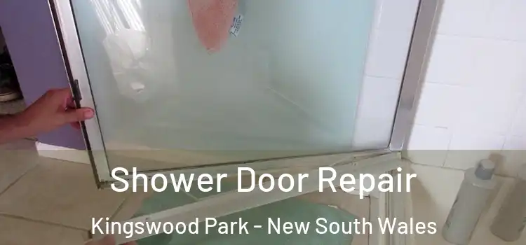 Shower Door Repair Kingswood Park - New South Wales