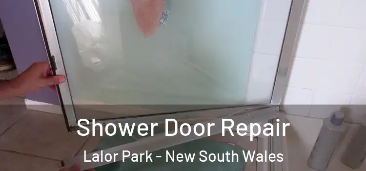 Shower Door Repair Lalor Park - New South Wales